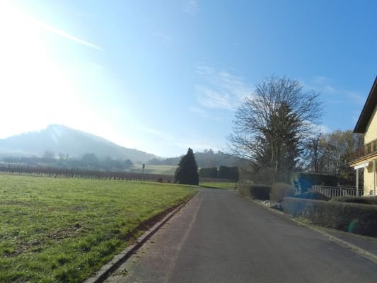 Ortsrandlage/Blick zum Wolfer Kloster