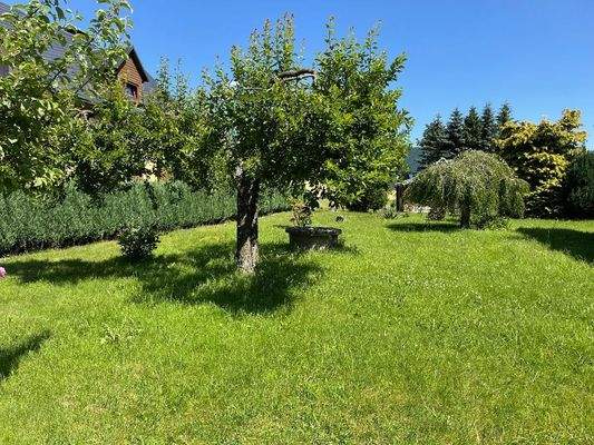 Sonniges Plätzchen.jpg