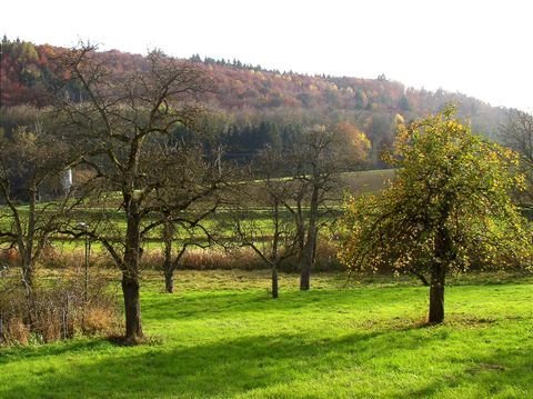 Leonberg Grundstücke, Leonberg Grundstück kaufen