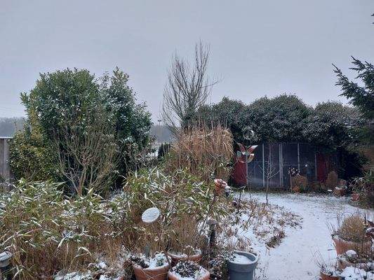 Gartenbereich (2).jpg