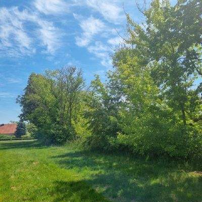 Baugrundstück Bild 4