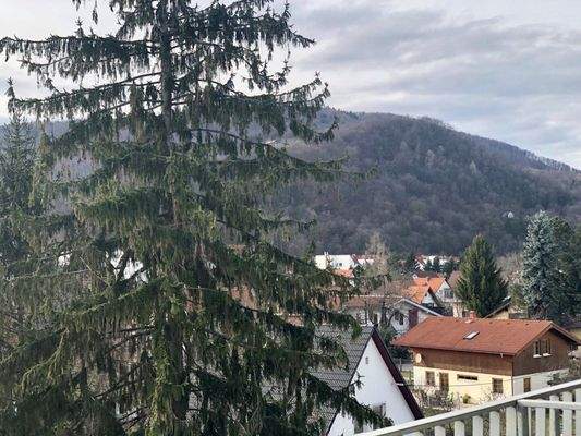 Bild: Waagner-Biro-Straße 109-115