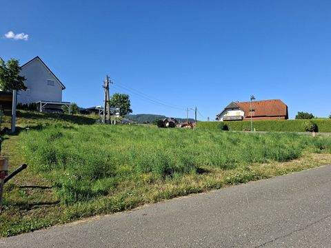 Sankt Lorenzen im Mürztal Grundstücke, Sankt Lorenzen im Mürztal Grundstück kaufen