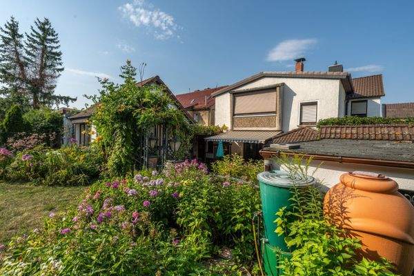 Garten Blick zum Haus