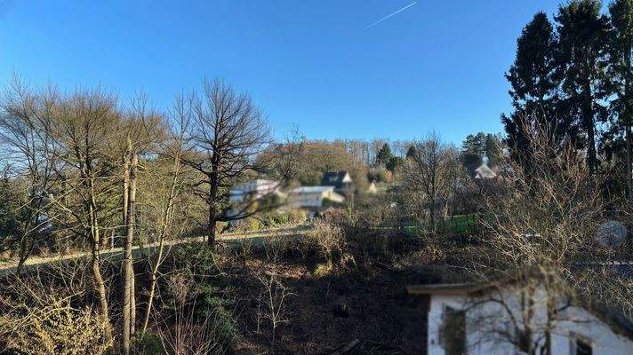 Blick in die Nachbarschaft