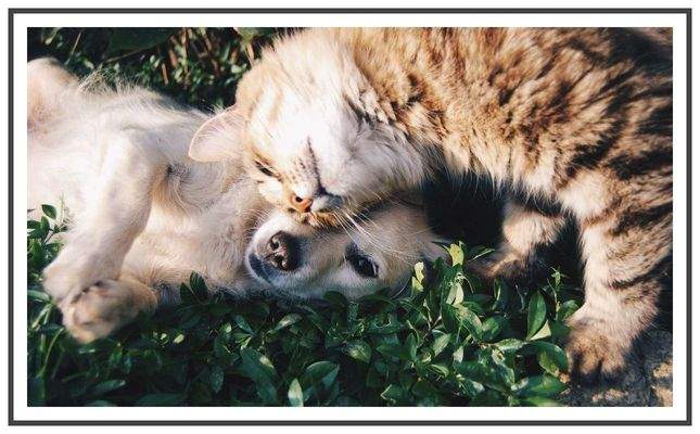 Herzlich Willkommen sagt Hensel Immobilien! :)