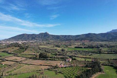 Torpè Häuser, Torpè Haus kaufen