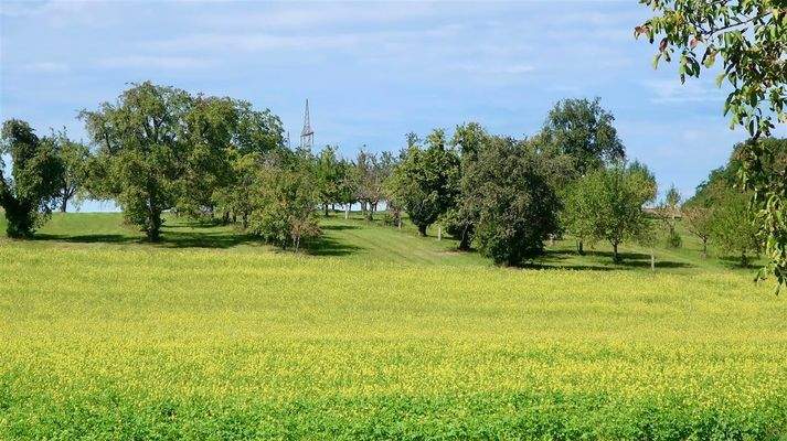 Ausblick nach Nordwesten