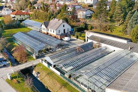 Katzelsdorf Bauernhöfe, Landwirtschaft, Katzelsdorf Forstwirtschaft