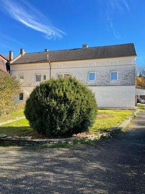 WhatsApp Image 2022-11-08 at 13.33.00