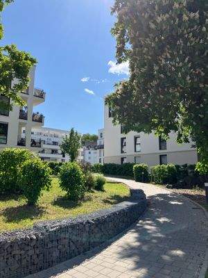 Außenanlage des Neubaus mit modernen weißen Wohngebäuden, mit einem zentralen Weg, der die Wohnhäuser miteinander verbindet.