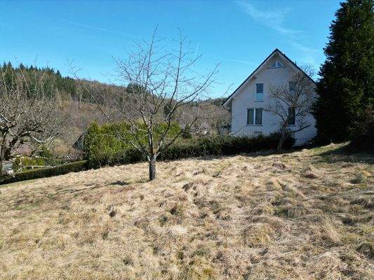 Teilansicht vom Baugrundstück 