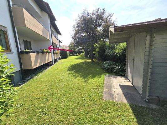 20250611_105430 (Mittel).jpg