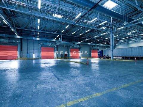 Rastatt Halle, Rastatt Hallenfläche