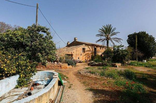 Außenbereich mit Pool