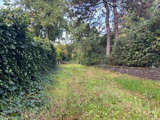 Pfeifenstiel - Blickrichtung Norden