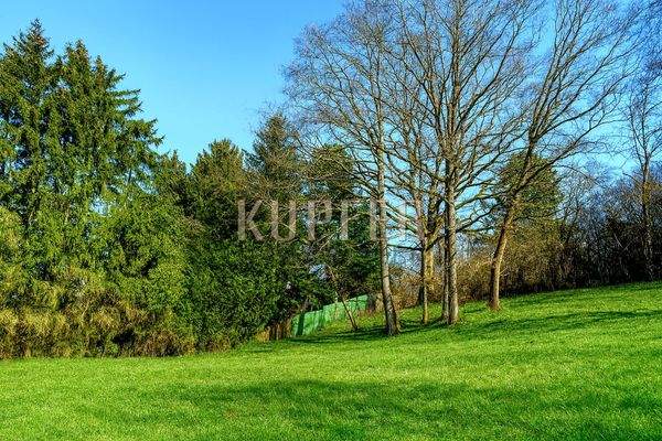 © KI Baugrund Forchheim