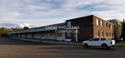 Garbsen Halle, Garbsen Hallenfläche