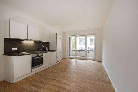 Dresden Wohnungen, Dresden Wohnung mieten