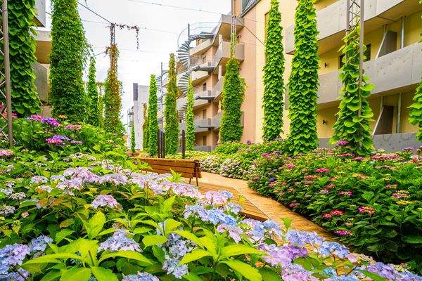 MitteNgrün Innenhof