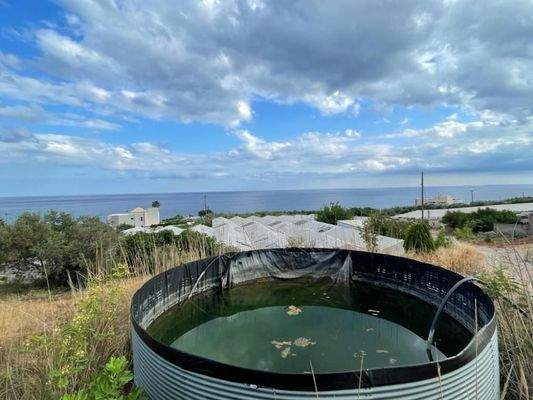 Kreta, Mavros Kolimpos: Grundstück mit Meerblick zu verkaufen