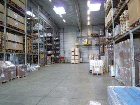 Maintal Halle, Maintal Hallenfläche