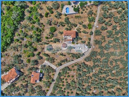 531118af2d01443e9e0b5799d9353e81-original