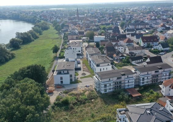 Bautenstand Hainburg