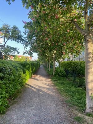 Umgebungsfoto