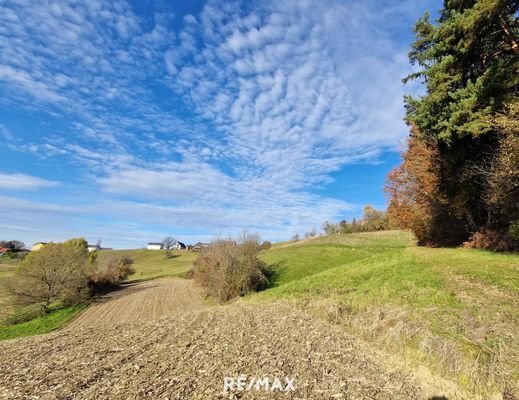 Aussicht Richtung Nord