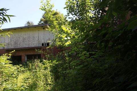 Wischhafen Grundstücke, Wischhafen Grundstück kaufen