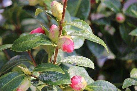 Dreieich Wohnungen, Dreieich Wohnung mieten