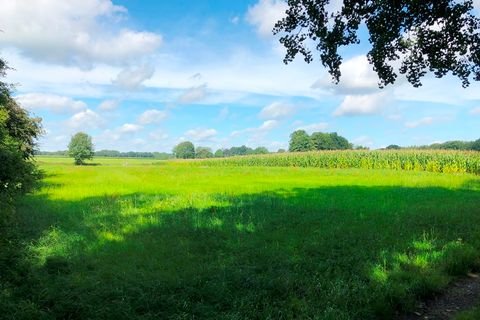 Cloppenburg Bauernhöfe, Landwirtschaft, Cloppenburg Forstwirtschaft