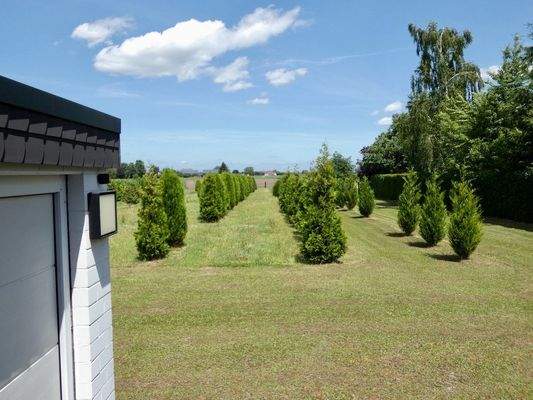 Ausblick vom Hauseingang