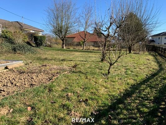 3_Garten