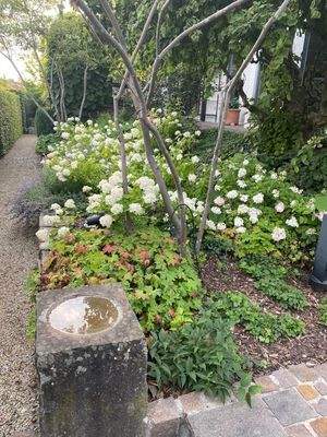 Buchloe-German-Deutschland-Haus-Verkauf-Neu-Nähe München-Oktoberfest-Stadtleben-Landschaft-Garten-Luxus
