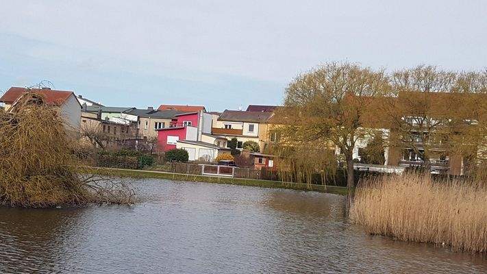 Blick vom Schwanenteich