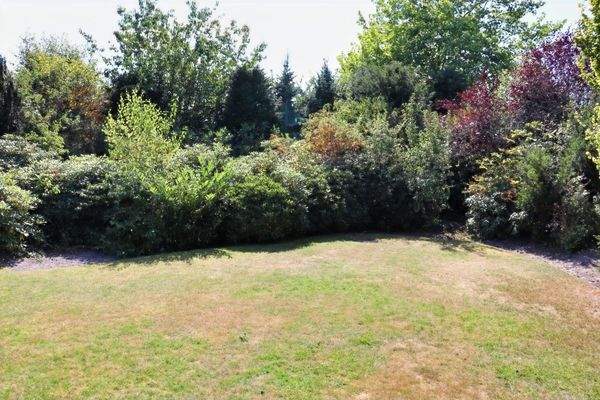 Garten mit vielen Pflanzen nicht einsehbar angelegt