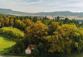Vogelperspektive mit Nachbargrundstück (ÖWG)