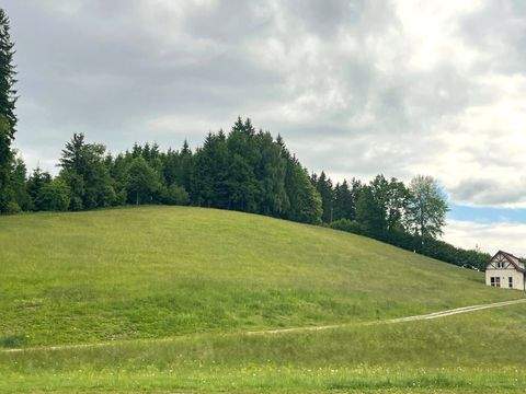 Hollenstein an der Ybbs Grundstücke, Hollenstein an der Ybbs Grundstück kaufen