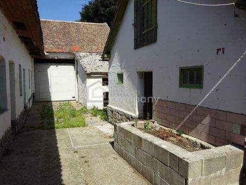 Auggenthal Bauernhöfe, Landwirtschaft, Auggenthal Forstwirtschaft