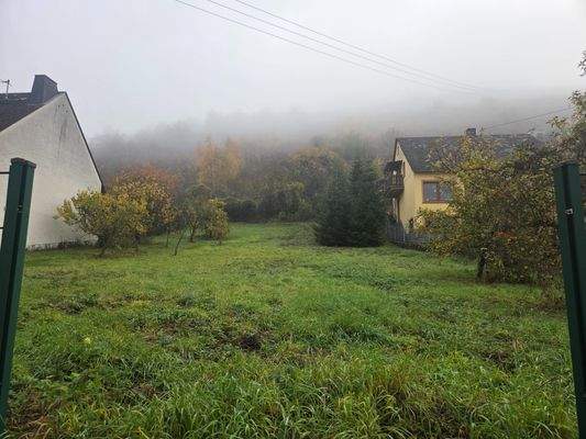 Ideal für ein Einfamilienhaus mit großem Garten