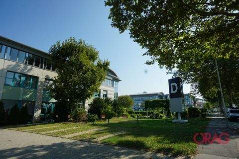 Schwechat Halle, Schwechat Hallenfläche