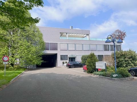 Leutenbach Halle, Leutenbach Hallenfläche