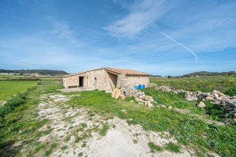 MONTUIRI Grundstücke, MONTUIRI Grundstück kaufen