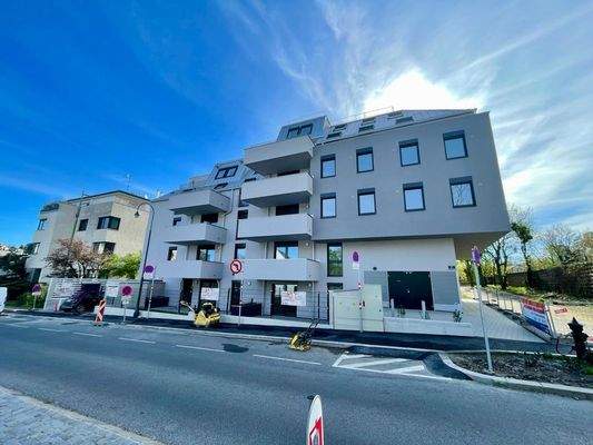 WhatsApp Image 2024-04-03 at 10.06.25 (1)