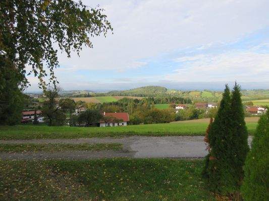 Ausblick vom Grundstücksrand Richtung Nordosten 