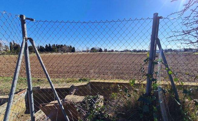 WhatsApp Image 2025-02-12 at 17.32.07 (10).jpeg