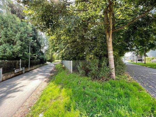 ... in die Natur ... 