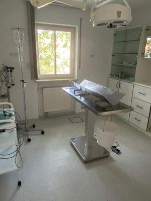 WhatsApp Image 2021-09-13 at 131836 (9)